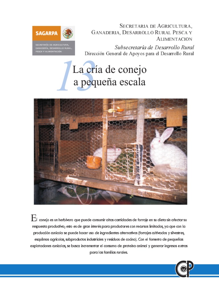 La cria de Conejo.pdf