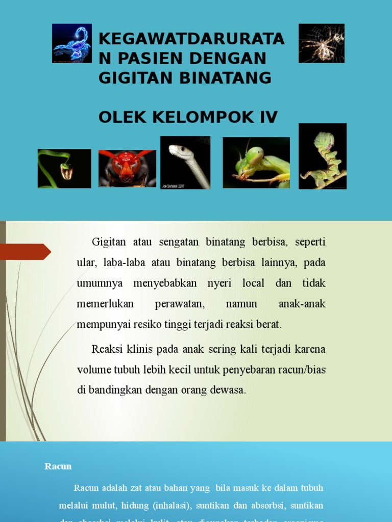 Gigitan Beracun Pdf