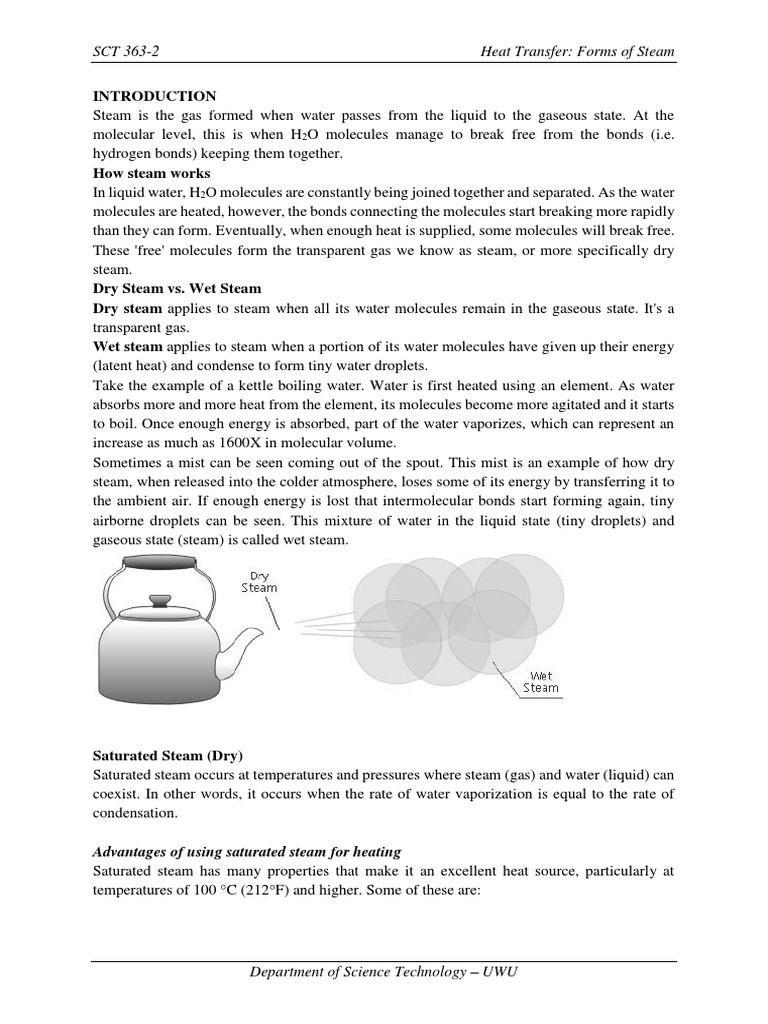 Understanding the Different Forms of Steam A Comprehensive Look at Dry