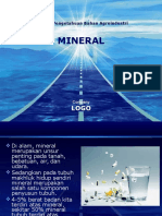 5 Mineral 130430024450 Phpapp02