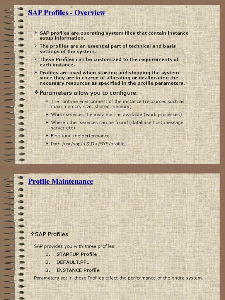 SAP Profile Management Guide | PDF | Business | Technology & Engineering