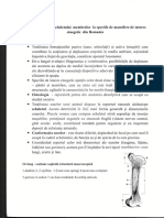 Oasele Membrelor La Speciilor Vanatoresti