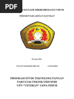 Fermentasi Sayur Asin