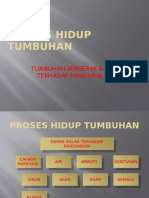 Proses Hidup Tumbuhan - PPTX (Observed)
