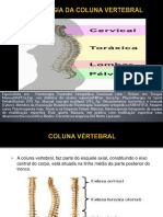 Aula 3-OSTEOLOGIA DA COLUNA VERTEBRAL.pdf