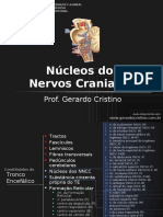 Núcleos Dos Nervos Cranianos PDF