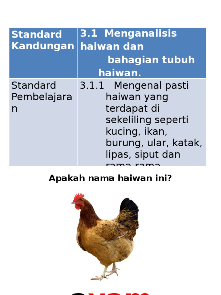 Anggota Badan Haiwan Pdf