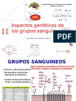 Grupo Sanguineo - 2013.OK