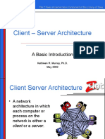 Client - Server Architecture: A Basic Introduction