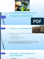 A Industrialização e o Impacto Ambiental - Filosofia