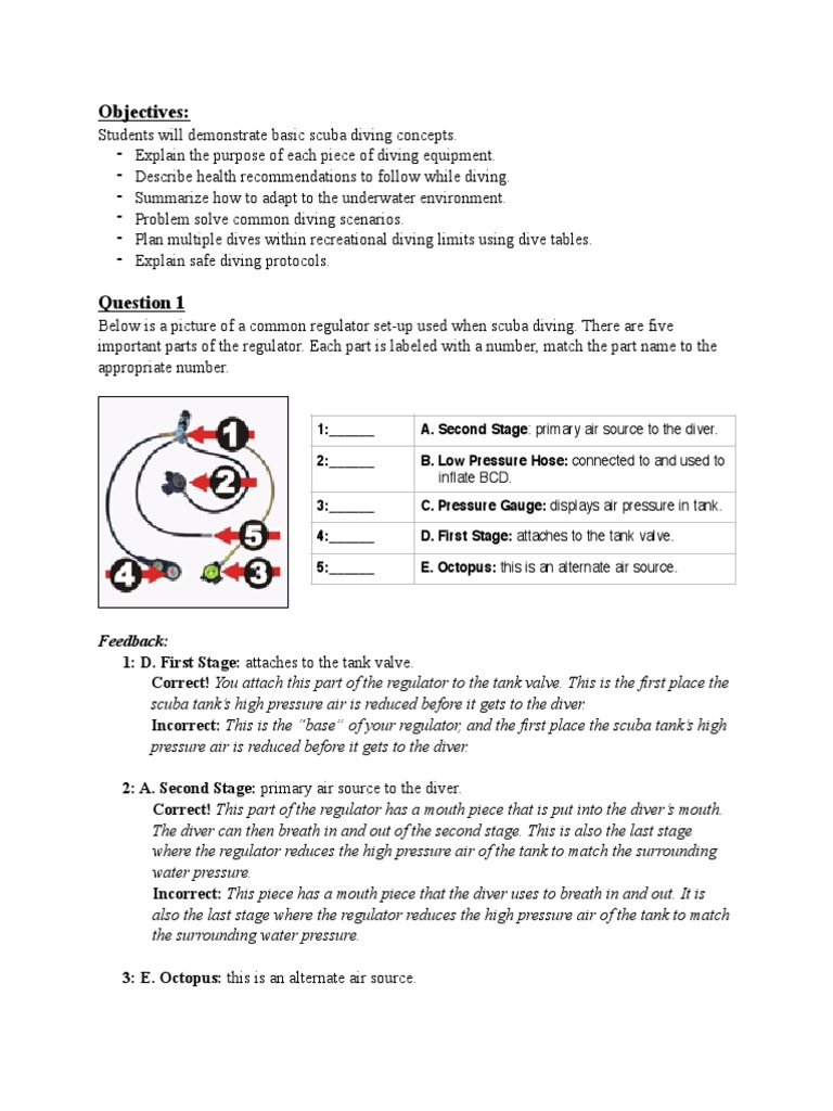 Test Questions PDF Scuba Diving Underwater Sports