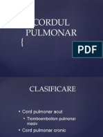 cordul_pulmonar