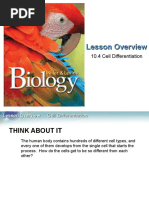 Download Section 104 Biology Book by Fabi Contreras R SN309343870 doc pdf