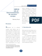 Biomecánica:: Una Mirada Al Funcionamiento de Nuestro Cuerpo