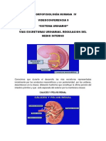 MFH IV -  AO 09