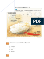 PRUEBA Comprensión Lectora