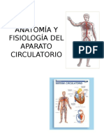 ANATOMÍA