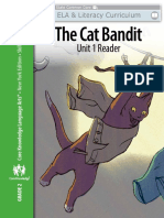 The Cat Bandit: Unit 1 Reader