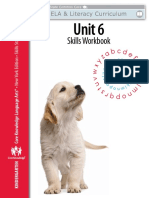 Skills Workbook: Unit 6