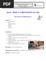 Protocolo "Composição do Ar"