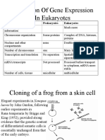 BIOL 3301 - Genetics Ch20 - Regulation of Gene Expression in Eukaryotes ST