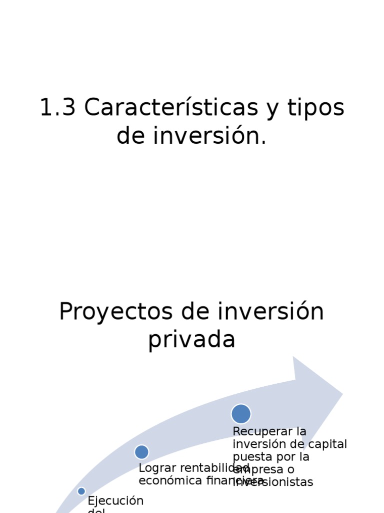 1.3 Caracteristicas y Tipos de Inversion | PDF