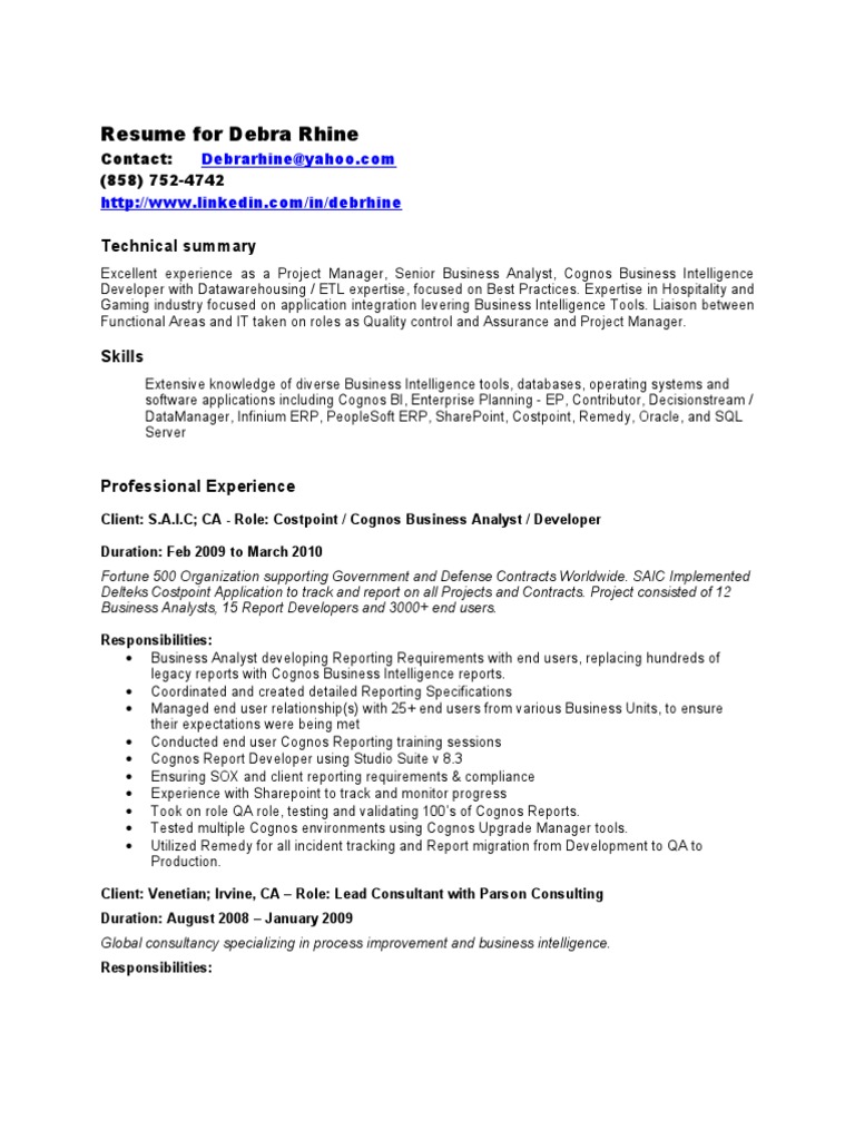 Debra Rhine: Project Manager & BI Expert | PDF | Business Intelligence ...