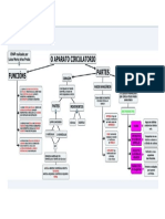 Aparato Circulatorio