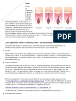 Cómo Actúa Un Antitranspirante