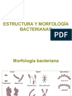 morfologia bacteriana