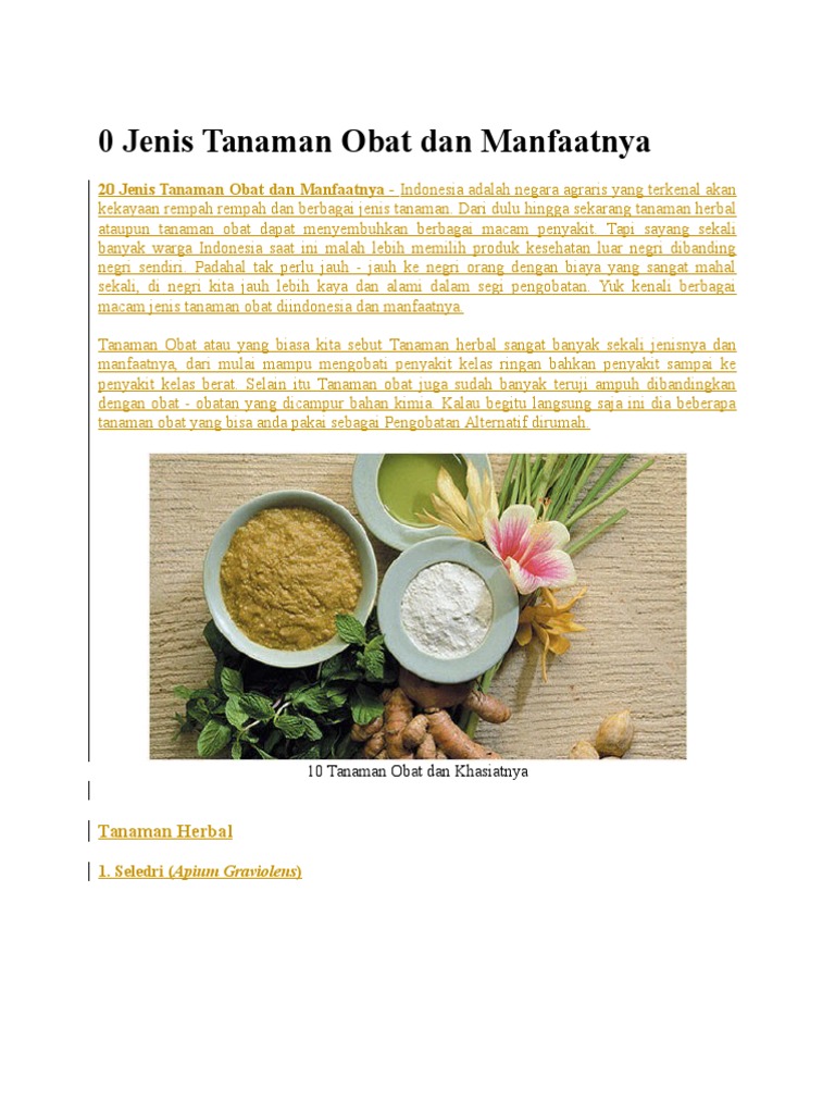 makalah Jenis Tanaman  Obat  Dan  Manfaatnya 