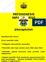 patogenesis virus