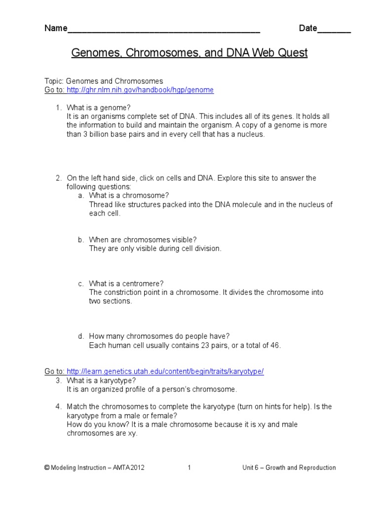 Genome Chromosome And Dna Webquest Chromosome Karyotype
