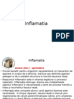 Curs 7-8 Inflamatii