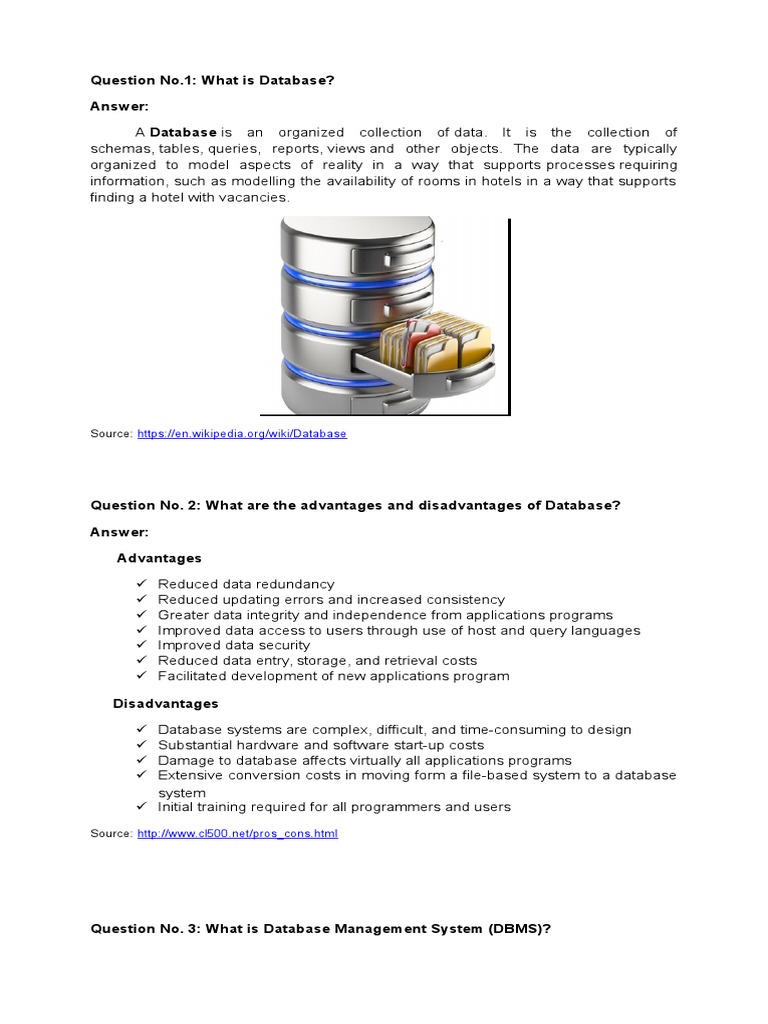 Understanding Databases and DBMS | PDF