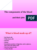 The Components of The Blood: and Their Jobs
