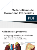 Metabolismo de Hormonas Esteroides y Estres. Final