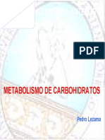 Metabolismo de Carbohidratos 2