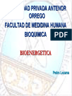 BIOENERGETICA 2009