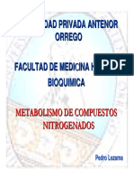 Metabolismo de Las Bases Nitrogenadas 2009