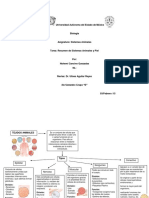 Tarea Resumen Tejidos y Piel