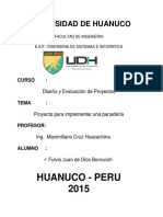 Diseño Evaluacion de Proyecto Fulvio (UdH)