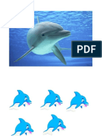 EL DELFIN