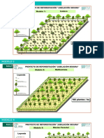 Modelos Agroforestales