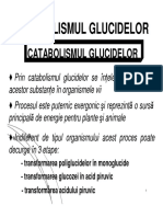 Glicoliza