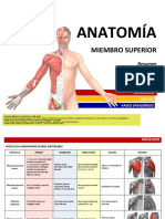 ANATOMÍA - Resumen Músculos - Miembro Superior.pdf