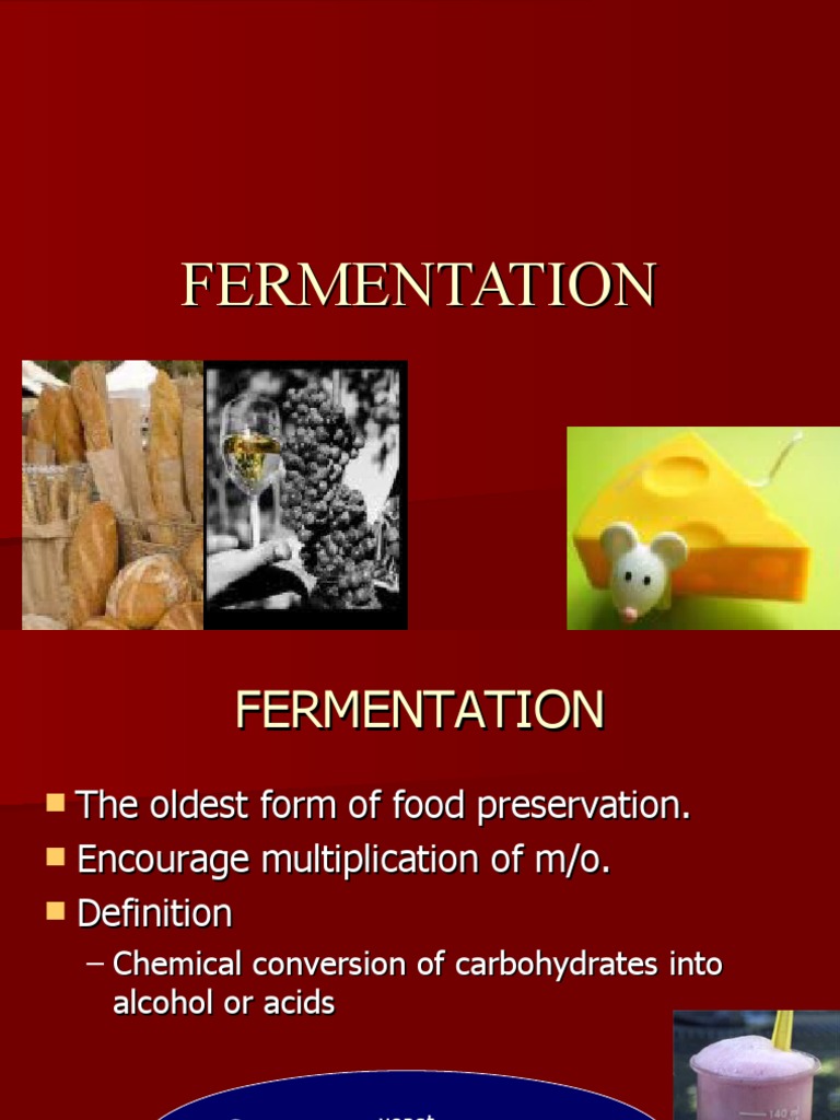 Understanding Fermentation Processes | PDF