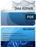 Dna Repair