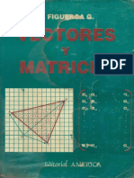 Vectores y Matrices Figueroa Garcia Copia