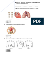 Ciencias in 2°.pdf